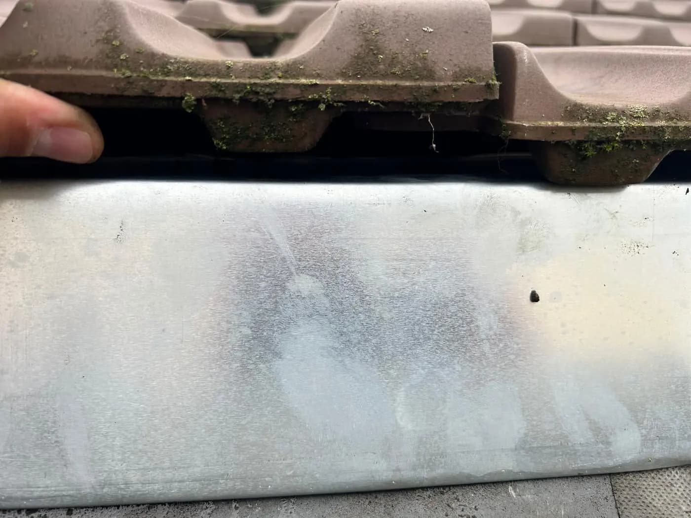 Tuile de toiture envahie par la mousse avant nettoyage